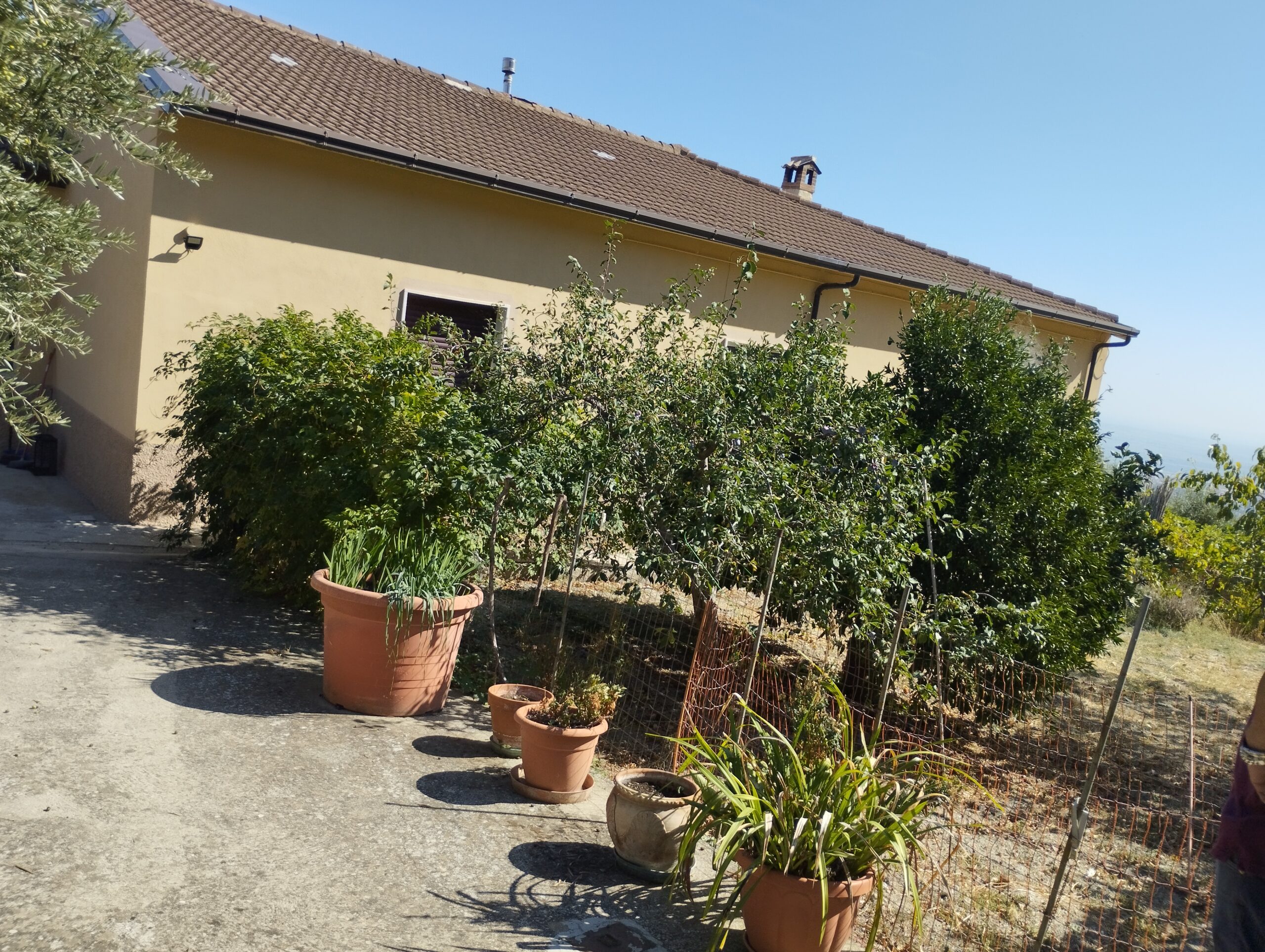 Cassano-Casa autonoma con 2 ettari di terreno